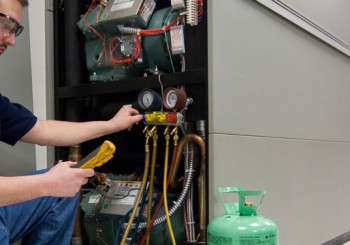 IT Management Audits